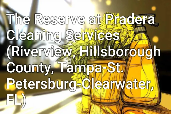 The Reserve at Pradera Cleaning Services (Riverview, Hillsborough County, Tampa-St. Petersburg-Clearwater, FL)