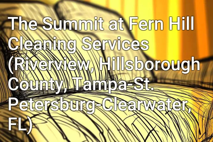 The Summit at Fern Hill Cleaning Services (Riverview, Hillsborough County, Tampa-St. Petersburg-Clearwater, FL)