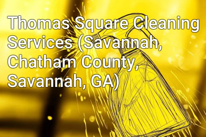Thomas Square Cleaning Services (Savannah, Chatham County, Savannah, GA)