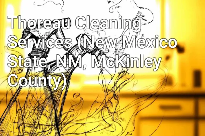 Thoreau Cleaning Services (New Mexico State, NM, McKinley County)