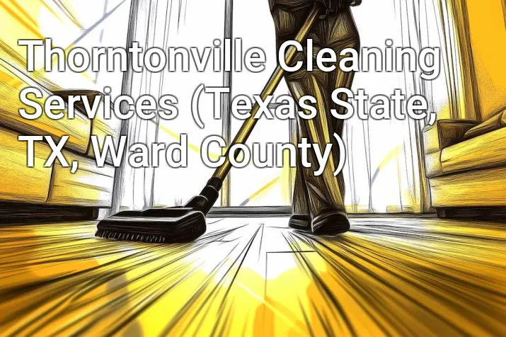 Thorntonville Cleaning Services (Texas State, TX, Ward County)