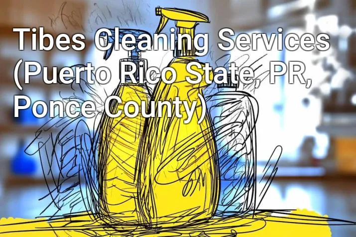 Tibes Cleaning Services (Puerto Rico State, PR, Ponce County)