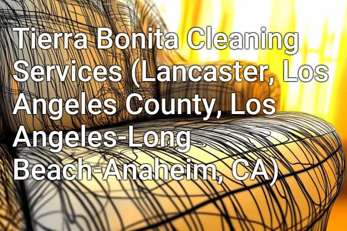 Tierra Bonita Cleaning Services (Lancaster, Los Angeles County, Los Angeles-Long Beach-Anaheim, CA)