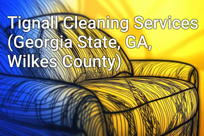 Tignall Cleaning Services (Georgia State, GA, Wilkes County)