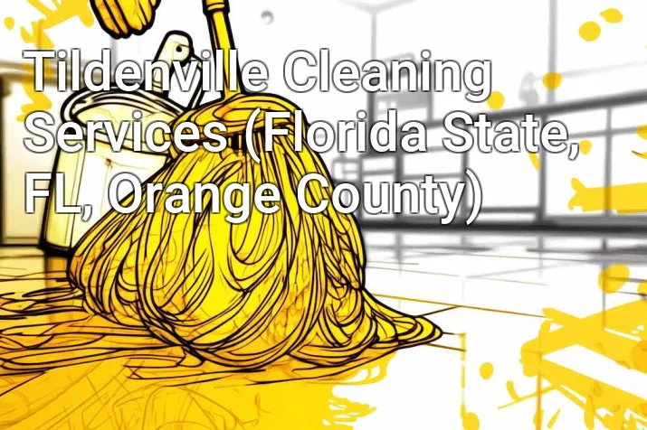 Tildenville Cleaning Services (Florida State, FL, Orange County)