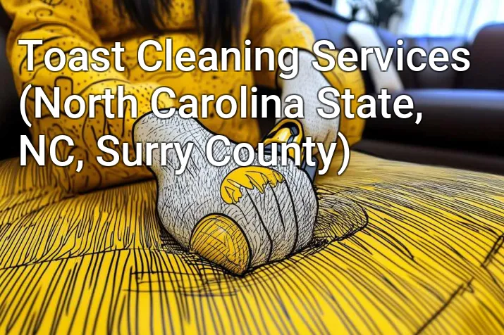 Toast Cleaning Services (North Carolina State, NC, Surry County)