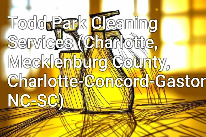 Todd Park Cleaning Services (Charlotte, Mecklenburg County, Charlotte-Concord-Gastonia, NC-SC)