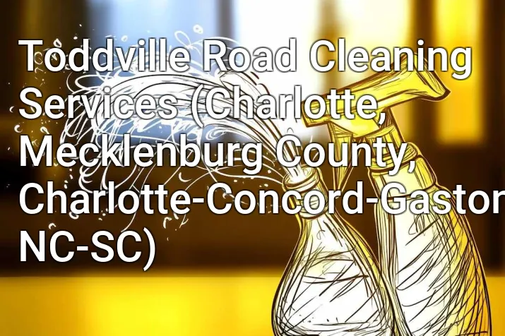 Toddville Road Cleaning Services (Charlotte, Mecklenburg County, Charlotte-Concord-Gastonia, NC-SC)
