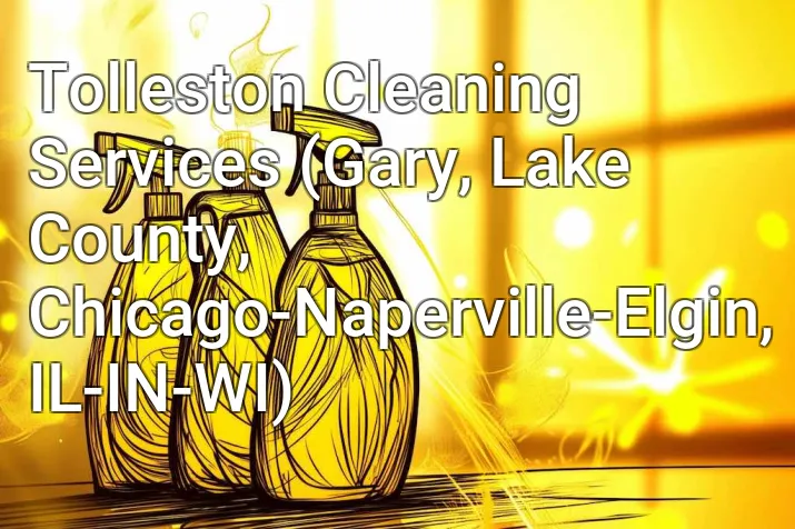 Tolleston Cleaning Services (Gary, Lake County, Chicago-Naperville-Elgin, IL-IN-WI)