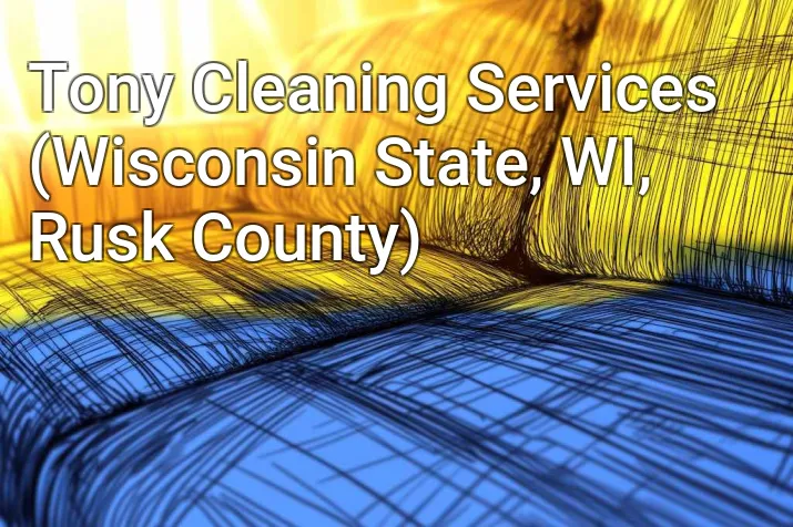 Tony Cleaning Services (Wisconsin State, WI, Rusk County)
