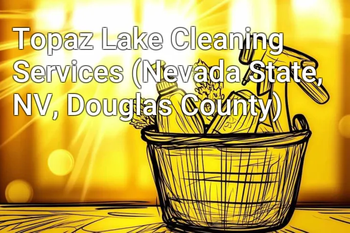 Topaz Lake Cleaning Services (Nevada State, NV, Douglas County)