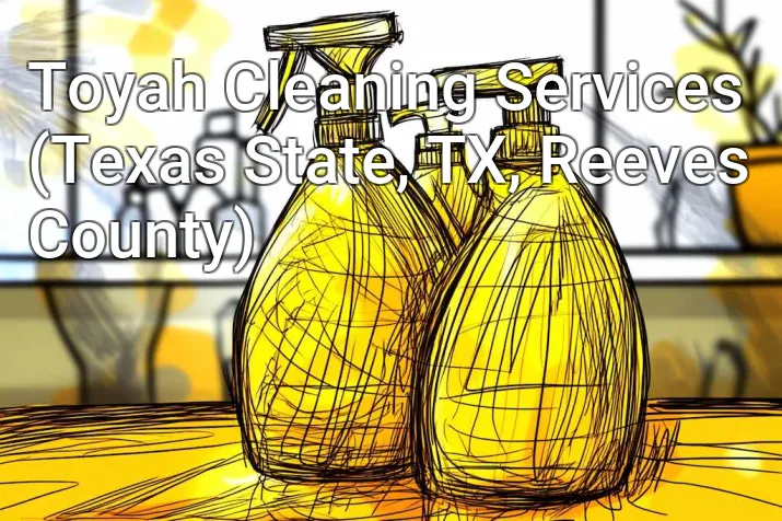 Toyah Cleaning Services (Texas State, TX, Reeves County)