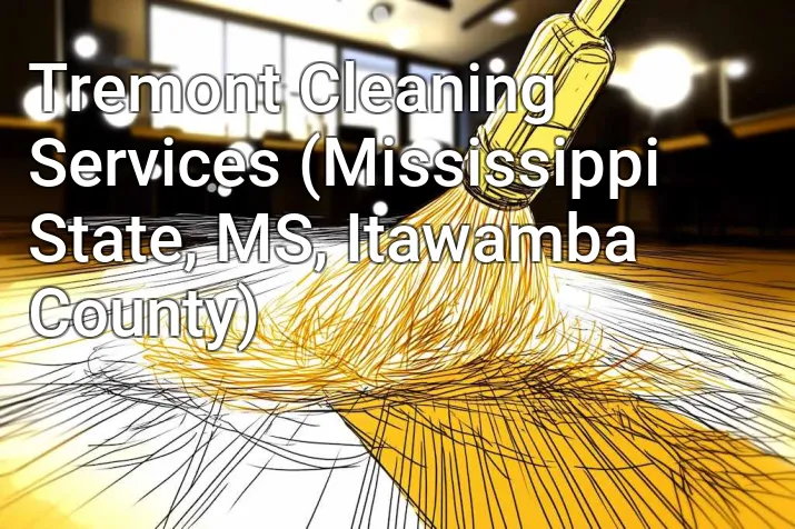 Tremont Cleaning Services (Mississippi State, MS, Itawamba County)