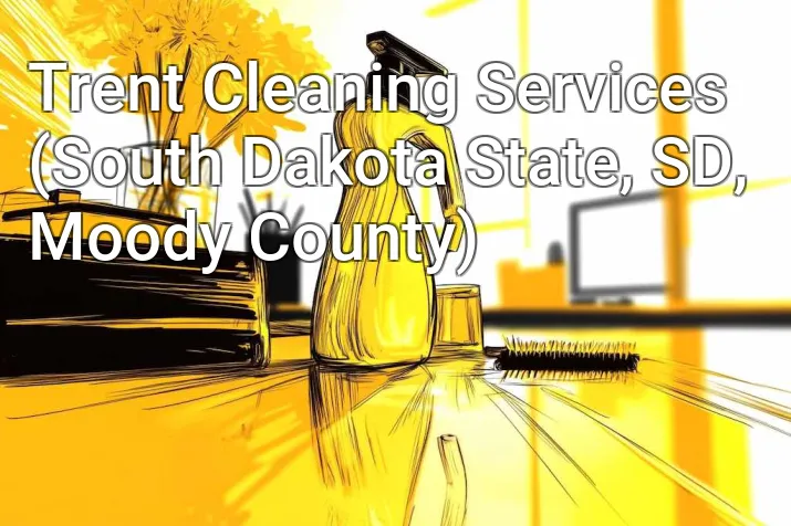 Trent Cleaning Services (South Dakota State, SD, Moody County)