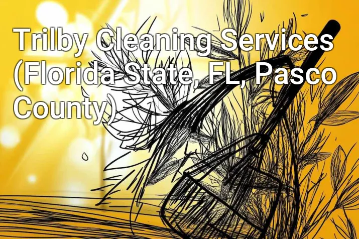 Trilby Cleaning Services (Florida State, FL, Pasco County)