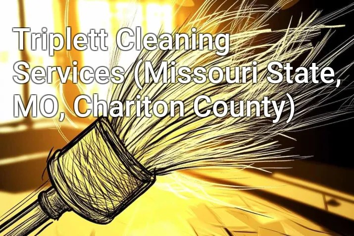 Triplett Cleaning Services (Missouri State, MO, Chariton County)