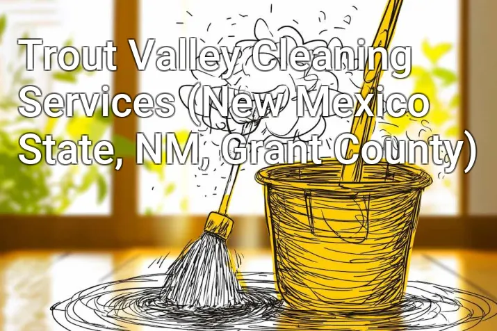 Trout Valley Cleaning Services (New Mexico State, NM, Grant County)