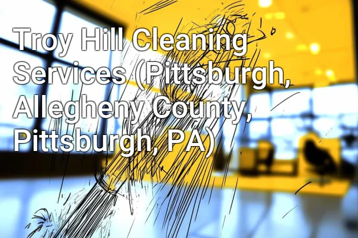 Troy Hill Cleaning Services (Pittsburgh, Allegheny County, Pittsburgh, PA)