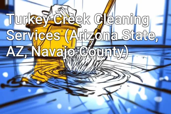 Turkey Creek Cleaning Services (Arizona State, AZ, Navajo County)