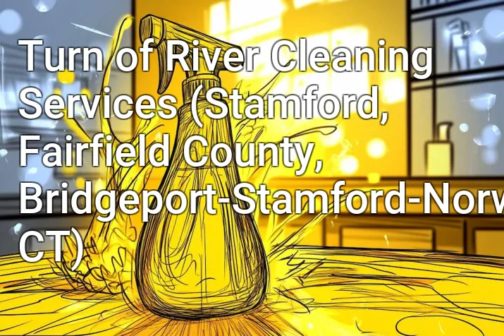 Turn of River Cleaning Services (Stamford, Fairfield County, Bridgeport-Stamford-Norwalk, CT)