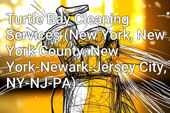 Turtle Bay Cleaning Services (New York, New York County, New York-Newark-Jersey City, NY-NJ-PA)