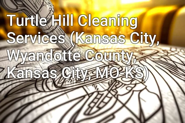 Turtle Hill Cleaning Services (Kansas City, Wyandotte County, Kansas City, MO-KS)