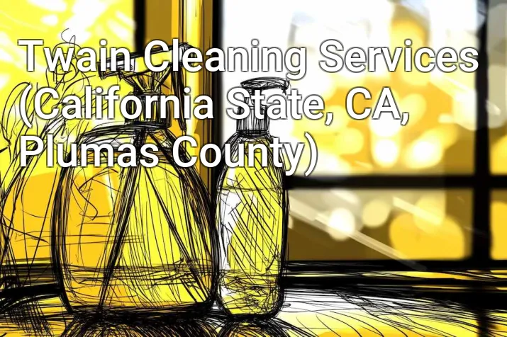 Twain Cleaning Services (California State, CA, Plumas County)