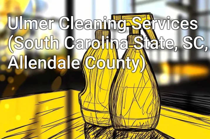 Ulmer Cleaning Services (South Carolina State, SC, Allendale County)