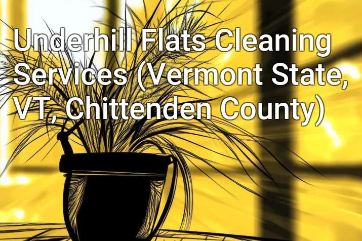 Underhill Flats Cleaning Services (Vermont State, VT, Chittenden County)