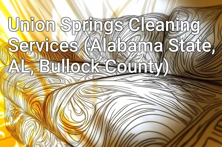 Union Springs Cleaning Services (Alabama State, AL, Bullock County)