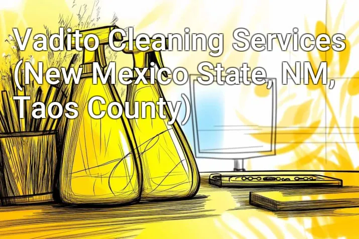 Vadito Cleaning Services (New Mexico State, NM, Taos County)