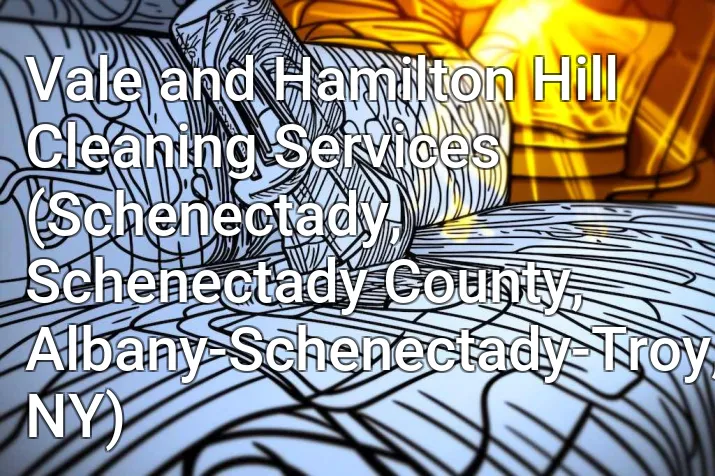 Vale and Hamilton Hill Cleaning Services (Schenectady, Schenectady County, Albany-Schenectady-Troy, NY)