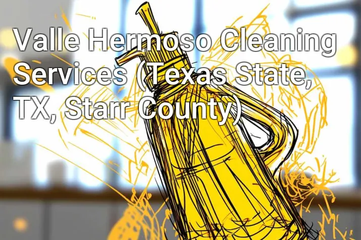 Valle Hermoso Cleaning Services (Texas State, TX, Starr County)