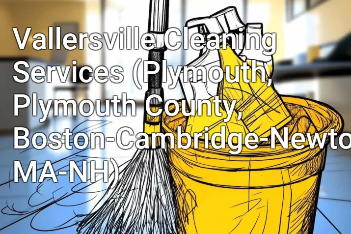 Vallersville Cleaning Services (Plymouth, Plymouth County, Boston-Cambridge-Newton, MA-NH)