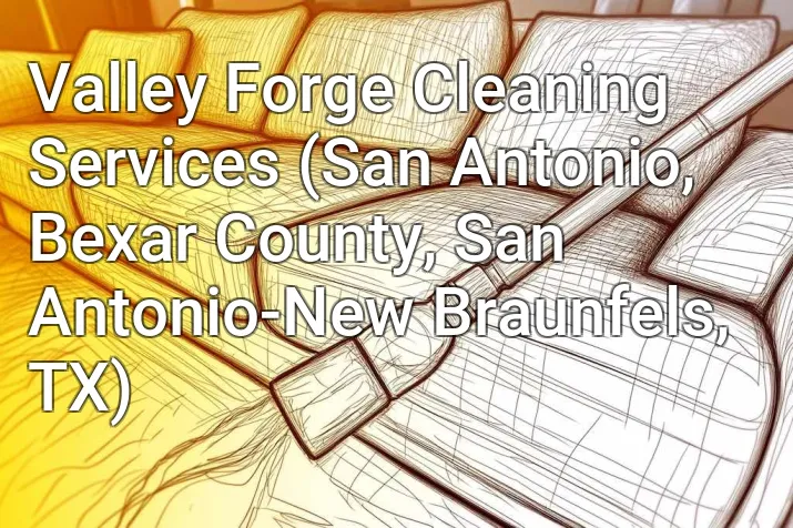 Valley Forge Cleaning Services (San Antonio, Bexar County, San Antonio-New Braunfels, TX)