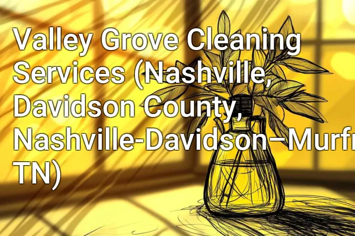 Valley Grove Cleaning Services (Nashville, Davidson County, Nashville-Davidson–Murfreesboro–Franklin, TN)