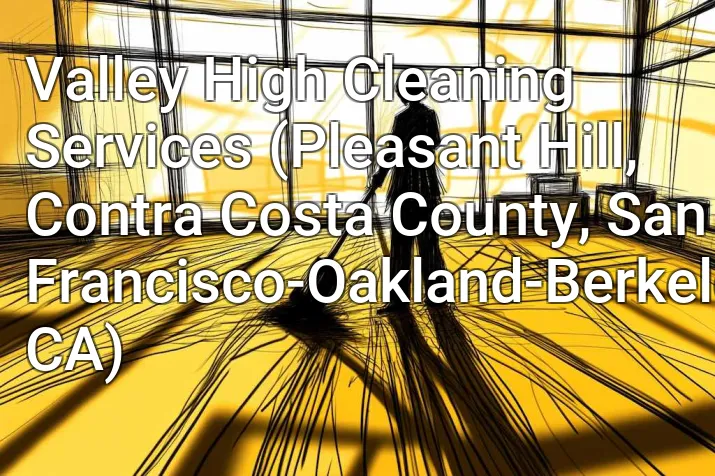 Valley High Cleaning Services (Pleasant Hill, Contra Costa County, San Francisco-Oakland-Berkeley, CA)