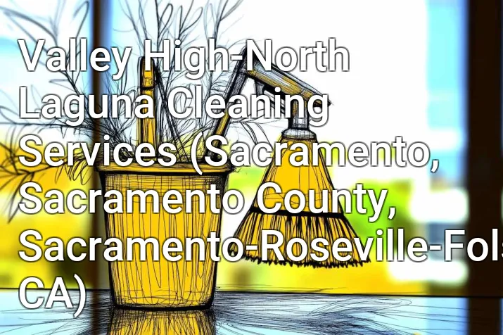 Valley High-North Laguna Cleaning Services (Sacramento, Sacramento County, Sacramento-Roseville-Folsom, CA)