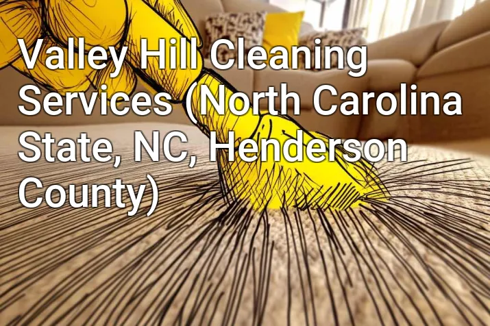Valley Hill Cleaning Services (North Carolina State, NC, Henderson County)