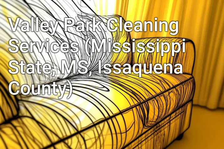 Valley Park Cleaning Services (Mississippi State, MS, Issaquena County)