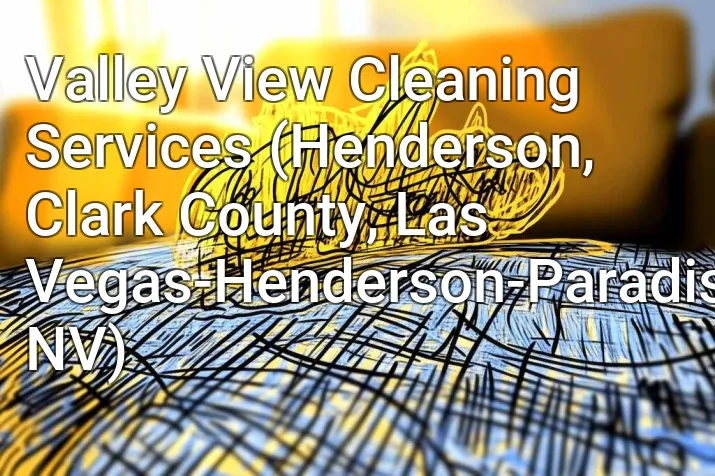 Valley View Cleaning Services (Henderson, Clark County, Las Vegas-Henderson-Paradise, NV)