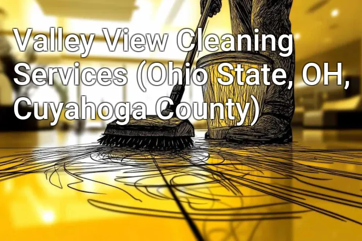 Valley View Cleaning Services (Ohio State, OH, Cuyahoga County)