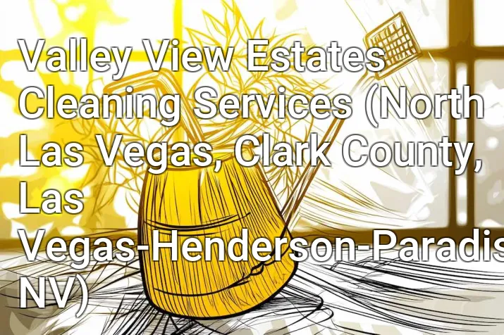 Valley View Estates Cleaning Services (North Las Vegas, Clark County, Las Vegas-Henderson-Paradise, NV)