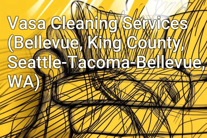 Vasa Cleaning Services (Bellevue, King County, Seattle-Tacoma-Bellevue, WA)
