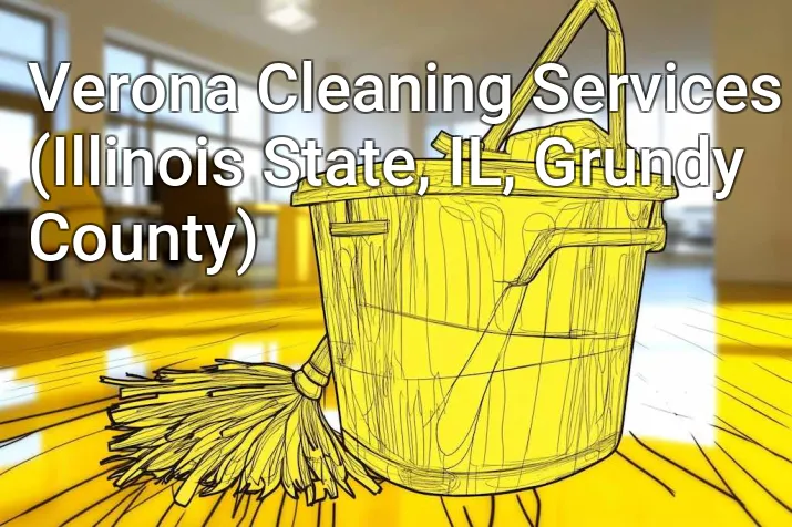 Verona Cleaning Services (Illinois State, IL, Grundy County)