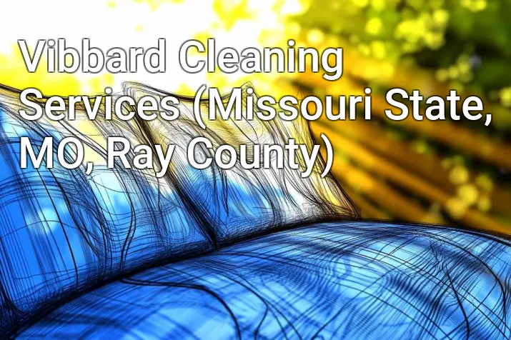 Vibbard Cleaning Services (Missouri State, MO, Ray County)