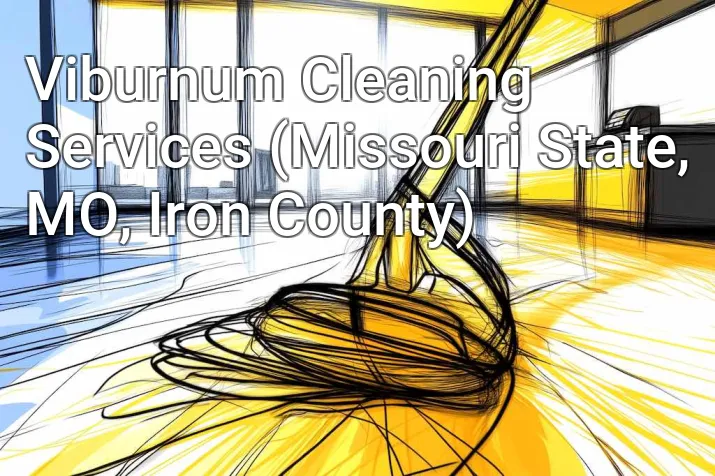 Viburnum Cleaning Services (Missouri State, MO, Iron County)
