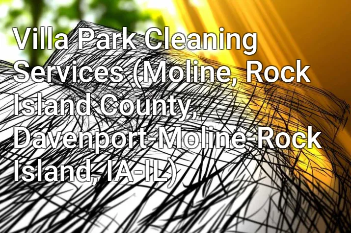 Villa Park Cleaning Services (Moline, Rock Island County, Davenport-Moline-Rock Island, IA-IL)
