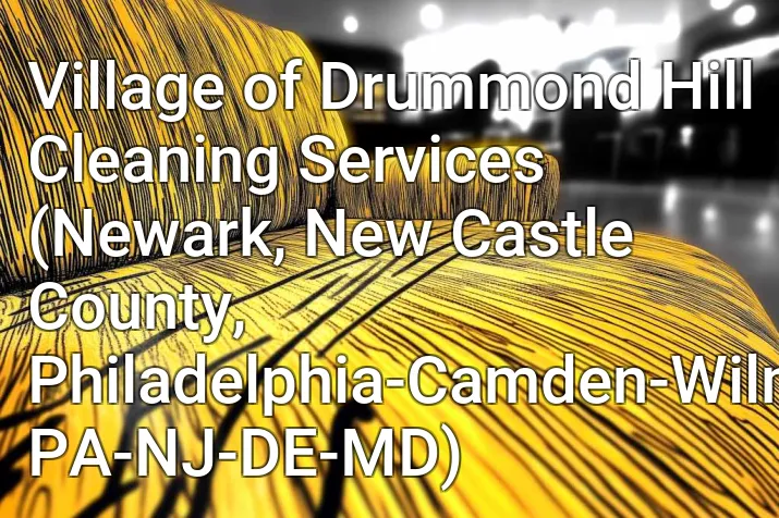 Village of Drummond Hill Cleaning Services (Newark, New Castle County, Philadelphia-Camden-Wilmington, PA-NJ-DE-MD)