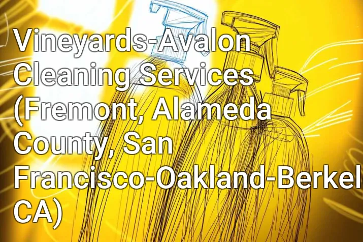Vineyards-Avalon Cleaning Services (Fremont, Alameda County, San Francisco-Oakland-Berkeley, CA)